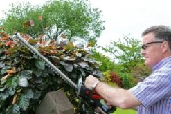 Cobra H5024V Li-Ion Cordless Hedge Trimmer (with 2Ah Battery & Charger) -Garden Tool Store cobra h5024v hedgetrimmer lifestyle 1