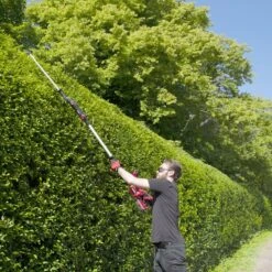 Cobra HT50LRH24V 2-in-1 Short/Long Reach 24V Cordless Hedge Trimmer (with 2Ah Battery & Charger) -Garden Tool Store cobra ht50lrhv24v long reach lifestyle