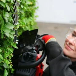 Harry HT22024 Petrol Hedge Trimmer -Garden Tool Store cobra ht62c hedge trimmer lifestyle 1