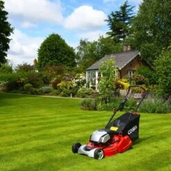 Cobra RM43SP80V 80V Self-Propelled Rear Roller Cordless Lawn Mower (with 2 X 40V 5Ah Batteries & 2 X Fast Chargers) -Garden Tool Store cobra rm43 51sp80v lifestyle 2
