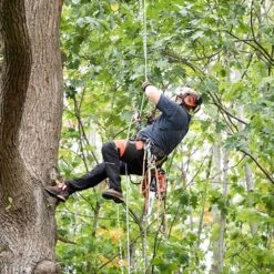 Echo DCS-2500T 56 EFORCE Cordless Top Handle Chainsaw (Bare Tool) -Garden Tool Store echo dcs 2500t chainsaw lifestyle 3