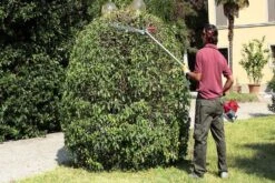 Oleo-Mac BC 241 HL Full Shaft Articulated Pole Hedge Trimmer -Garden Tool Store efco ds2400h hedge trimmer in use 1 1