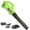 GreenWorks G24ABK2 24V Cordless Axial Blower (with 2Ah Battery And Charger) (Bundle Builder) -Garden Tool Store greenworks g24abk2 1