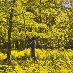 GreenWorks G24PS20 24V Cordless Pole Saw (Bare Tool) (Bundle Builder) -Garden Tool Store greenworks g24ps20 4 2