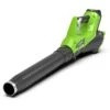 GreenWorks G40AB G-MAX 40V Cordless Axial Blower (Bare Tool) -Garden Tool Store greenworks g40ab blower 1