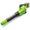 GreenWorks GD24X2AB Brushless 48V (2 X 24V) Cordless Axial Blower (Bare Tool) -Garden Tool Store greenworks gd24x2ab leaf blower tool only