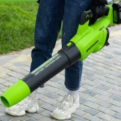 GreenWorks GD24X2ABK2X Brushless 48V (2 X 24V) Cordless Axial Blower (with 2 X 2Ah Batteries & Charger) -Garden Tool Store greenworks gd24x2ab leaf blower tool only features 2 1 1