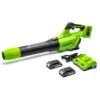GreenWorks G24X2ABK2X 48V (2 X 24V) Cordless Axial Blower (with 2 X 2Ah 24V Batteries & Charger) (Bundle Builder) -Garden Tool Store greenworks gwg24x2abk2x blower 1