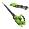 GreenWorks GD24X2BVK4X DigiPro 48V (2 X 24V) Cordless Blower / Vacuum (with 2 X 4Ah Batteries & 2A Twin Charger) 2 GreenWorks GD24X2BVK4X DigiPro 48V (2 X 24V) Cordless Blower / Vacuum (with 2 X 4Ah Batteries & 2A Twin Charger) -Garden Tool Store greenworks gwgd24x2bv blower vac kit