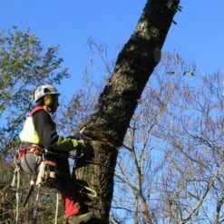 GTM Professional Conyfair Rattlewedge Splitter -Garden Tool Store gtm rattlewedge lifestyle hover