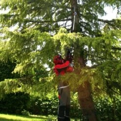 Mitox 28PP Select Pole Pruner -Garden Tool Store mitox 28pp pole saw lifestyle