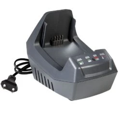 Oleo-Mac BCi 30 40V Cordless Grass Trimmer (with 2.0Ah Battery & Charger) -Garden Tool Store oleo mac crg battery charger 1