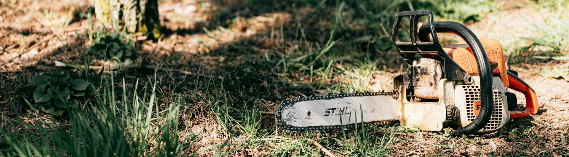 Garden Tool Store 19 Garden Tool Store -Garden Tool Store pexels karolina grabowska 4206054