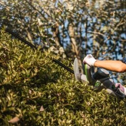 Q Garden QG500ERHT Electric Hedge Trimmer 20 Q Garden QG500ERHT Electric Hedge Trimmer -Garden Tool Store q garden qg500erht hedge trimmer lifestyle 3