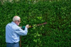 Webb WEEHT500 Electric Hedge Trimmer -Garden Tool Store webb eht500 hedge trimmer lifestyle 3